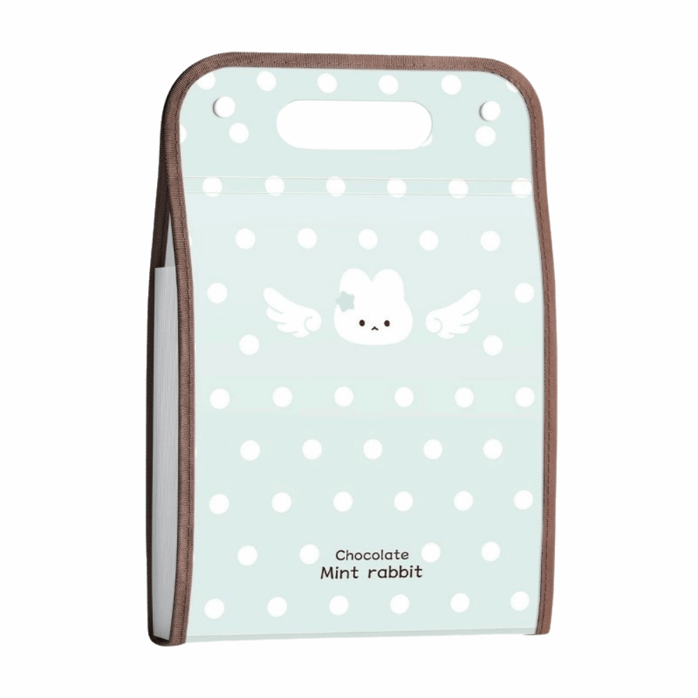 Expandable Accordion File Folder 13 Pockets - ملف قابل للتوسيع من نوع 